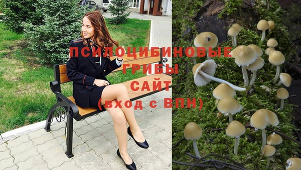 амф Алексеевка