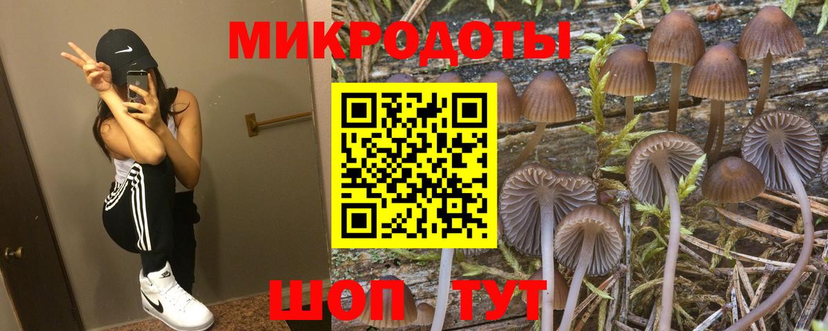 Глазов  Псилоцибиновые грибы GOLDEN TEACHER  Вход с VPN  Псилоцибиновые грибы мицелий 
