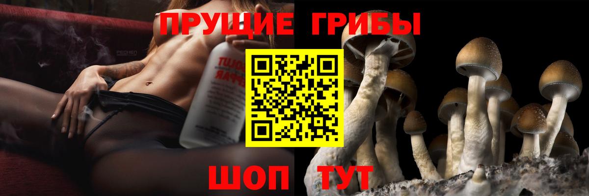 Псилоцибиновые грибы MAGIC MUSHROOMS Глазов