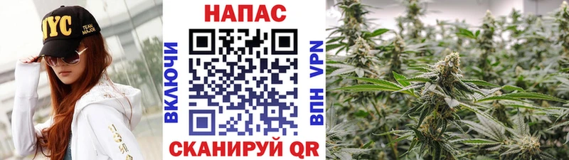 Бошки марихуана AK-47  Купить закладки  Глазов 